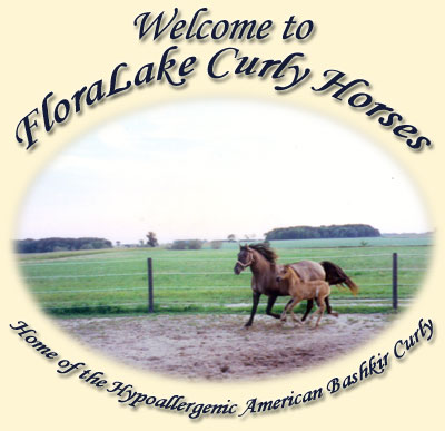Welcome to Floralake Curly Horses - Home of the Hypoallergenic American Bashkir Curly